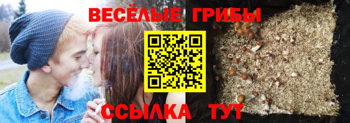 Псилоцибиновые грибы мухоморы Нововоронеж