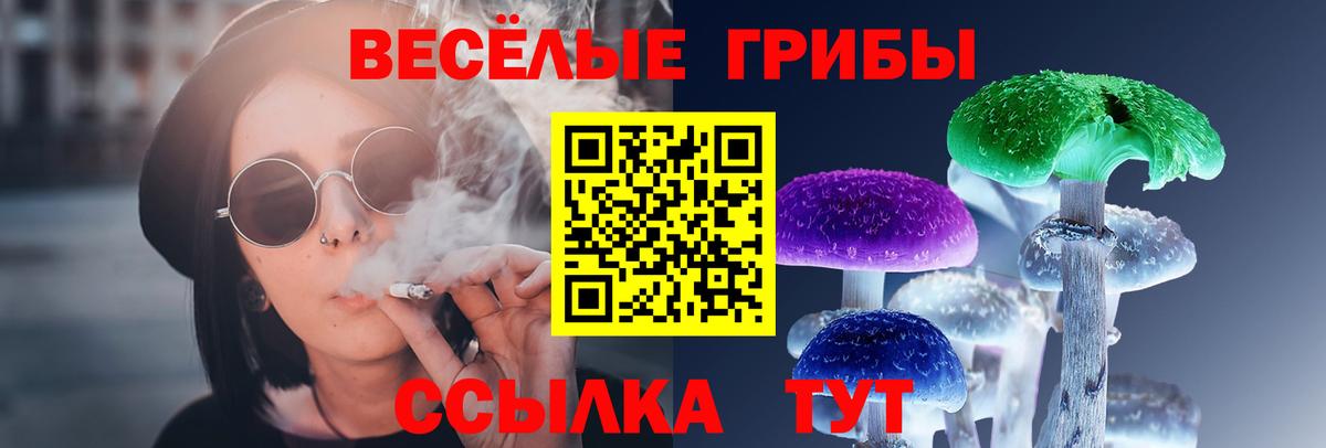 где можно купить   Псилоцибиновые грибы Psilocybine cubensis  Вход с VPN  Нововоронеж 